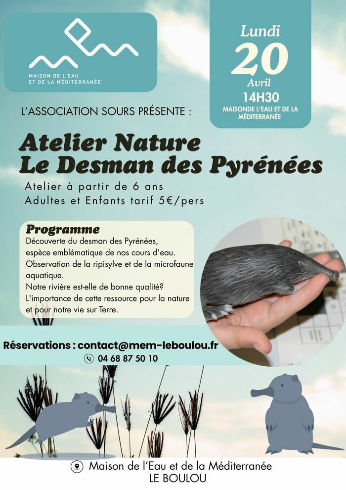 Atelier sur le Desman des Pyrénées