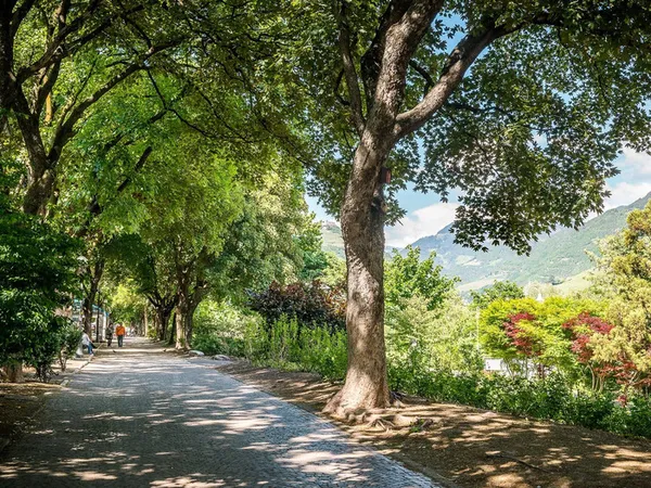 « Le vert historique de Bolzano : du parc Marienklinik aux promenades du Talvera »