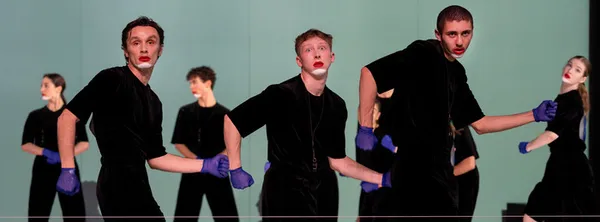 Canine Jaunâtre 3