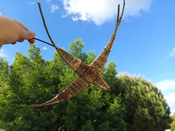 Ateliers Vannerie sauvage d'été