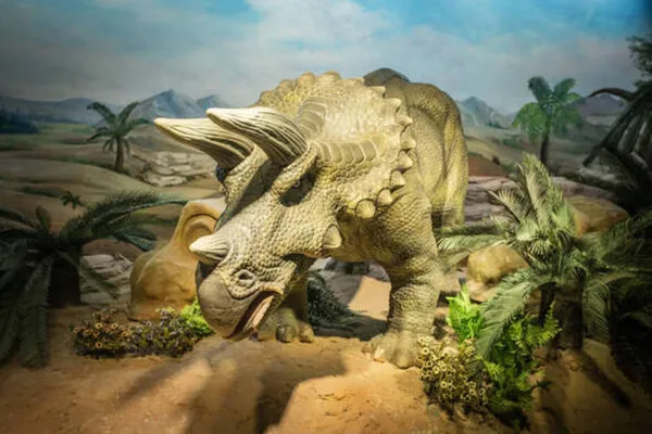 Stage de science A l'époque des dinosaures