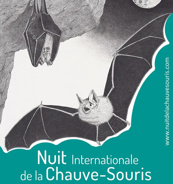 Nuit de la chauve-souris à Bréziers