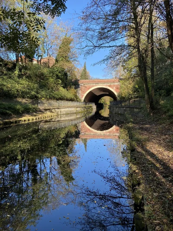Balade naturaliste : les richesses de la branche de Tourcoing