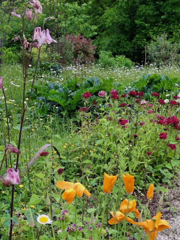 Visite du Jardin créagire
