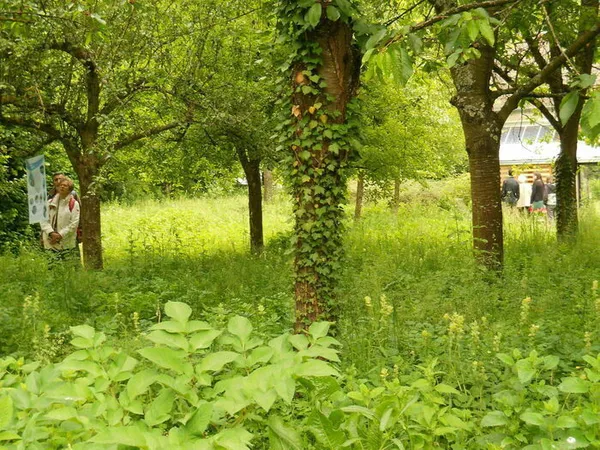 Troc aux plantes - CAUE