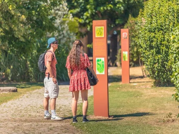 Visite guidée du Jardin Tinctorial : de la plante à la couleur