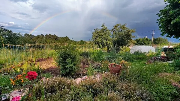 Visite libre du Jardin Solidaire et Partagé