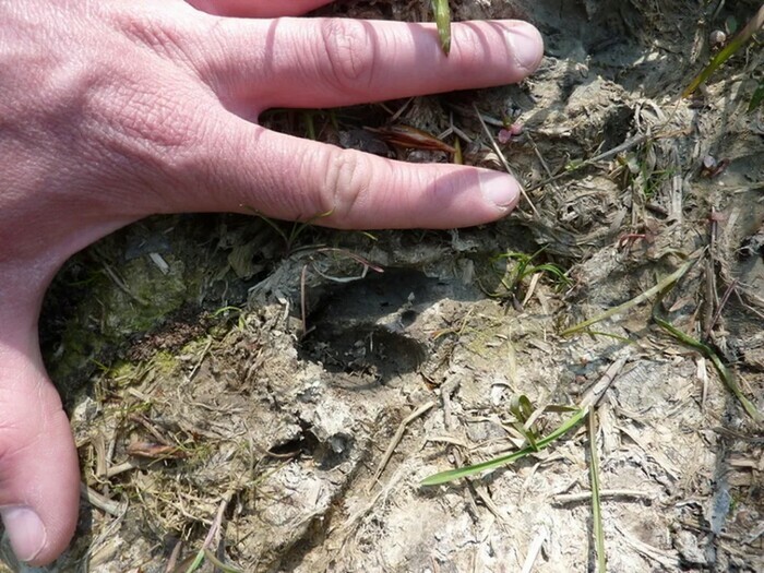 Rando traces & empreintes