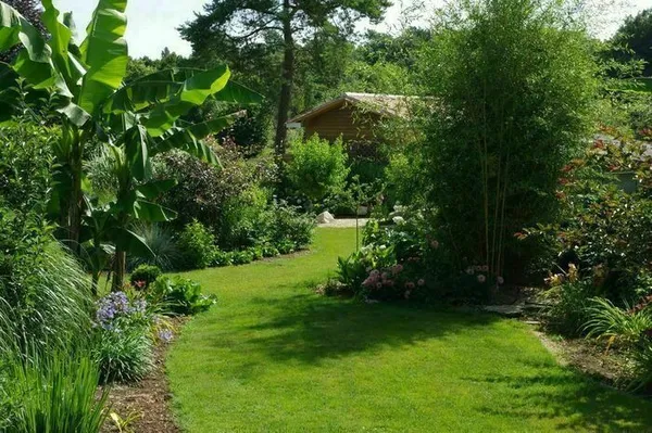 Découverte d'un jardin d'inspiration asiatique