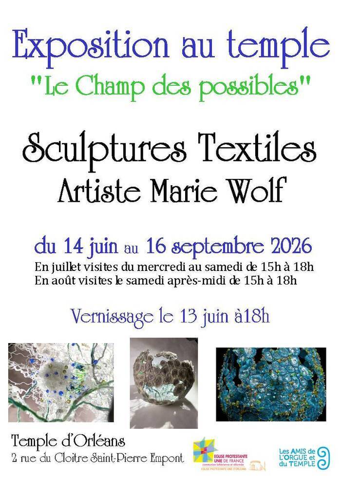 Marie Wolf « Le champ des possibles »
