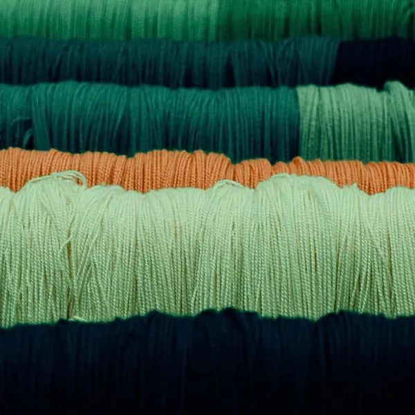 Atelier de teinture « Recherche colorée »