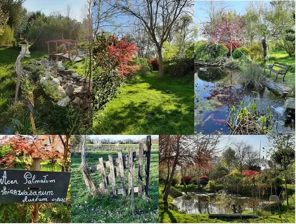Visite commentée d'un jardin en évolution