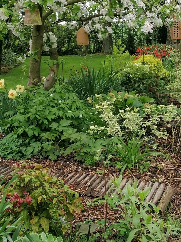 Visite découverte du jardin Au chant du pinson