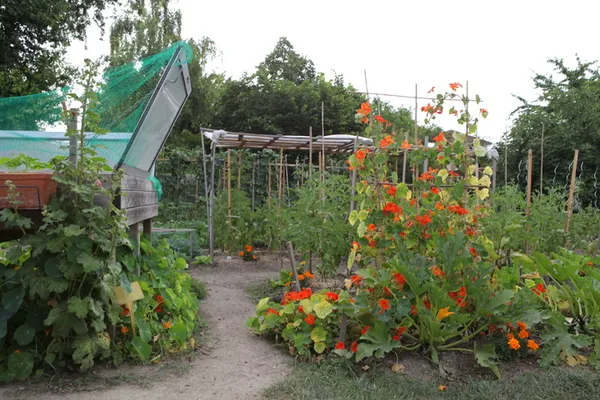 Portes ouvertes des jardins partagés