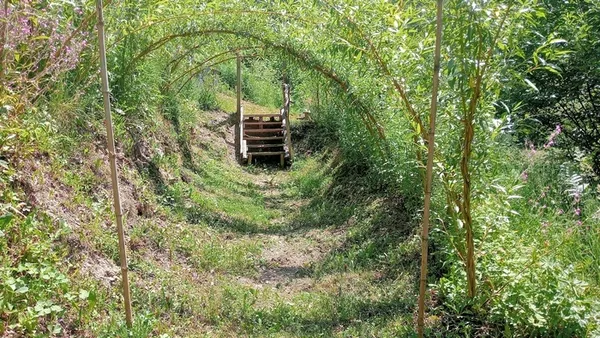 Visite du jardin synergétique