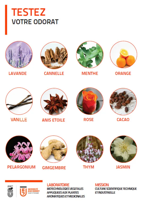 Atelier parfum : découvrez le monde secret des parfums des plantes !