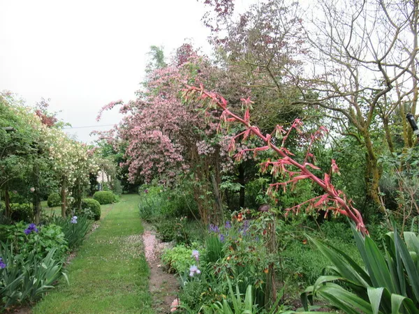 Visite d'un jardin bucolique, entre vivaces, arbustes, fleurs, et parfum des roses.