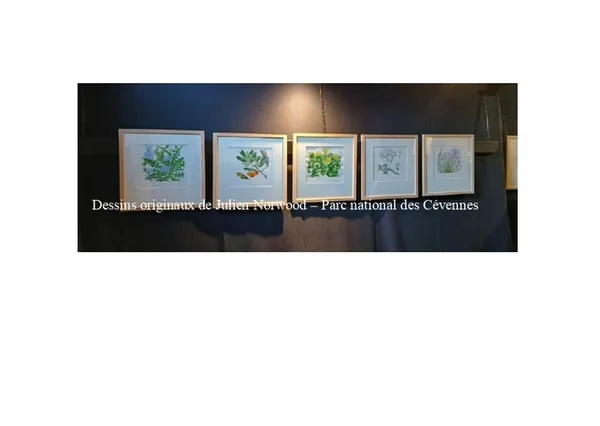 Conférence : dénomination et usage des plantes, transmission d'un savoir en langue occitane