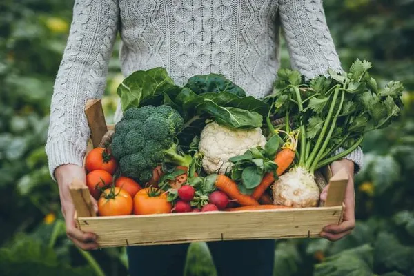 Alimentation saine & gourmande