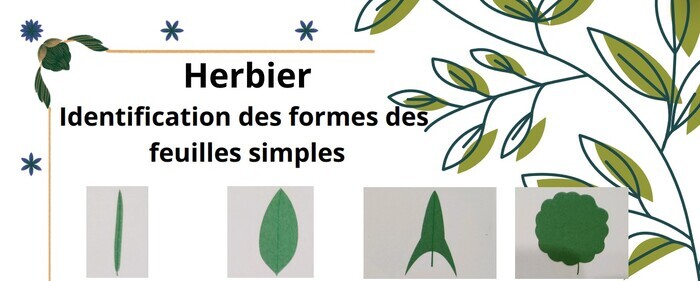 Voyons ensemble !