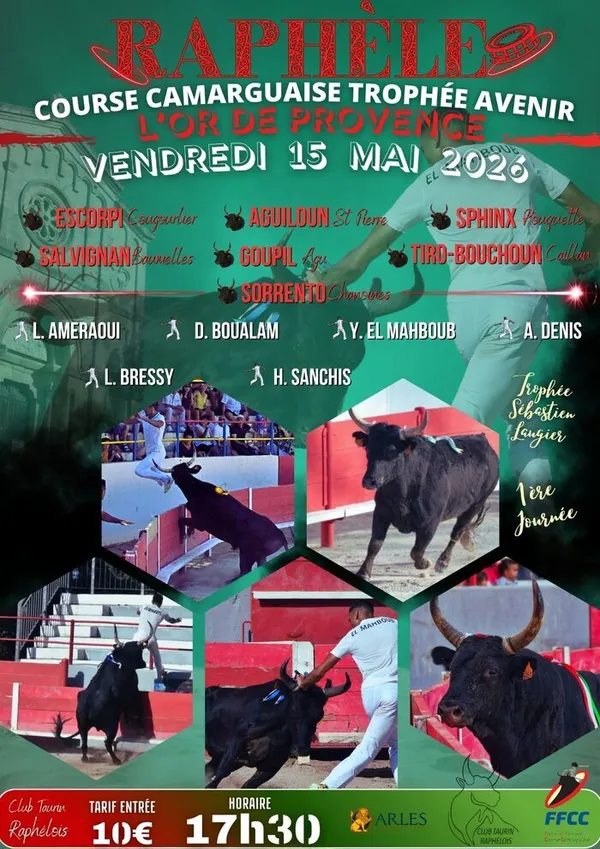Course camarguaise : l'Or de Provence