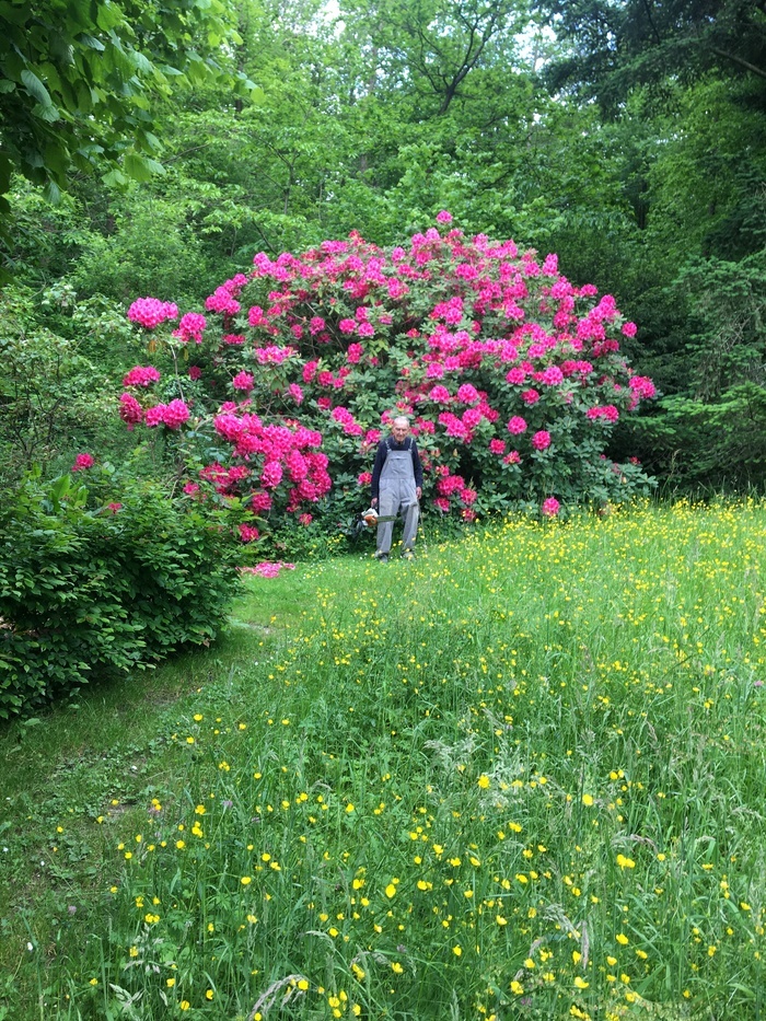 Visite libre du Jardin de Montubois