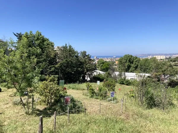 Visite du Parc Urbain des Papillons