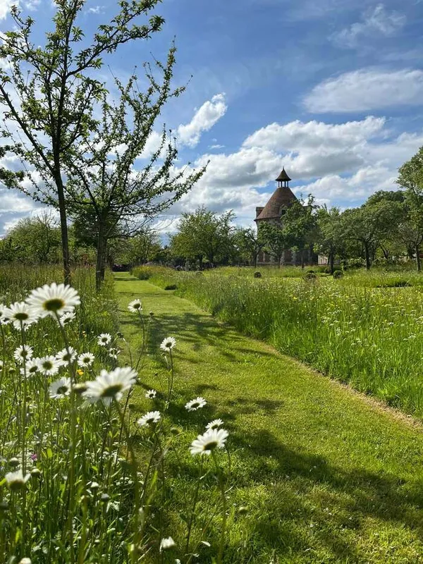 Visite libre : découverte printanière des jardins du parc du château