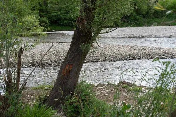 Balade nocturne sur les traces des bâtisseurs de rivière