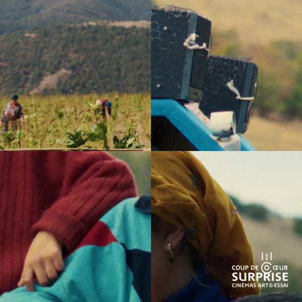 Avant-Première surprise : film coup de cœur "Art et Essai"