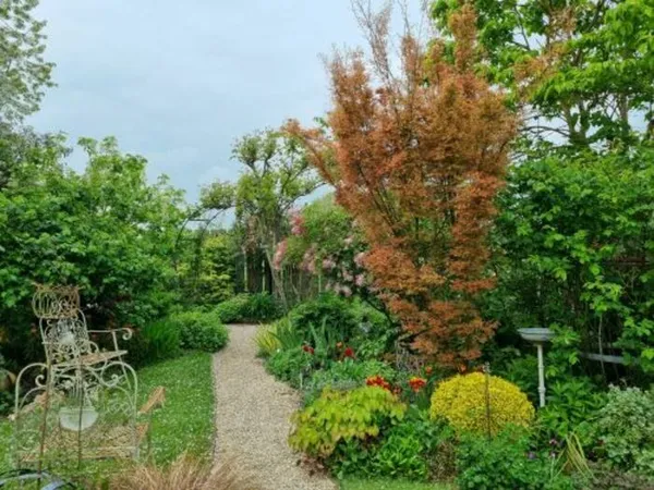 Découverte du Jardin commentée par les propriétaires