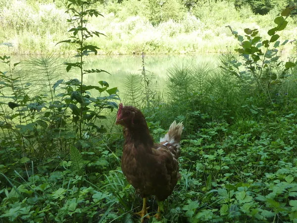 Visite guidée et contes