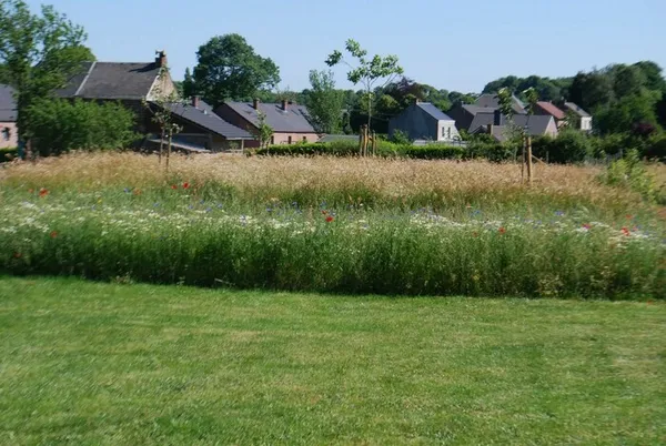 Jardinons ! Atelier "Semer une prairie fleurie"