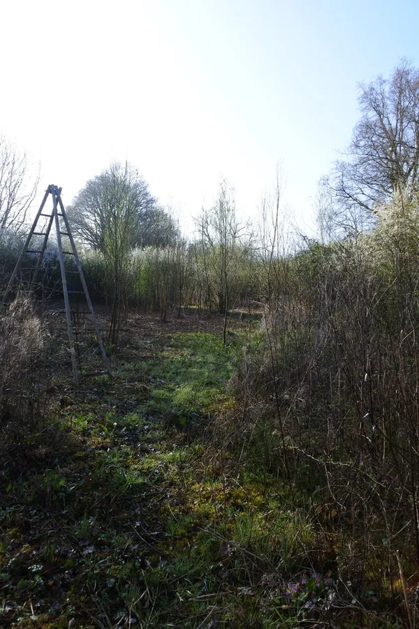 Cycles de l'eau et biodiversité