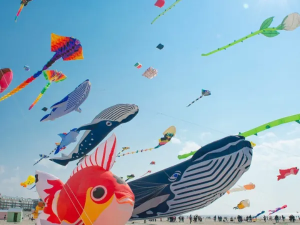 SORTIE BERCK "LES CERFS VOLANTS"
