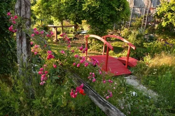 Visite guidée du Jardin d'Hélène