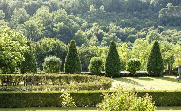 Voir sans être vu : les oiseaux du jardin