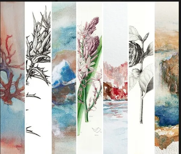 Atelier aquarelle botanique : couleurs et nuancier par Anita Hunor