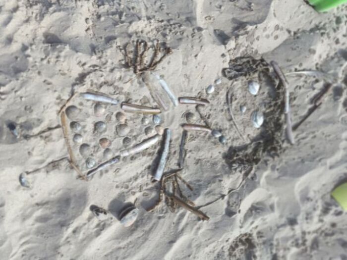 ATELIER LAND ART