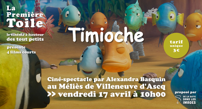 Timioche