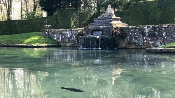 Visite du parc de Courances