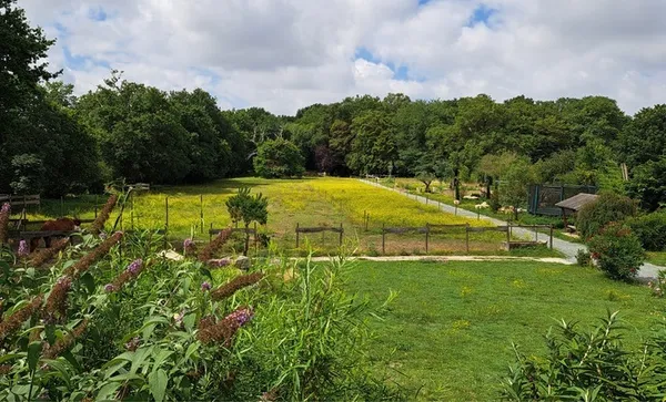 Des fenêtres au jardin
