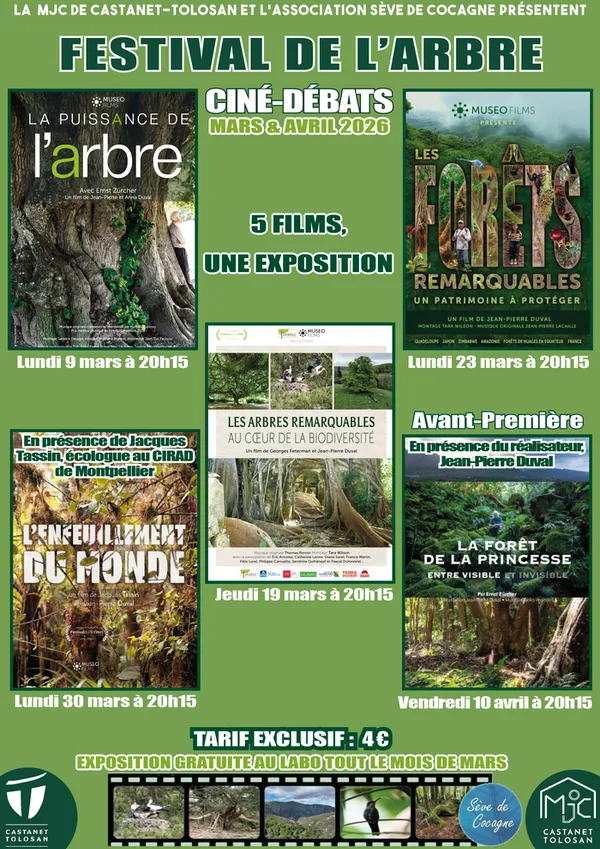 FESTIVAL DE L'ARBRE
