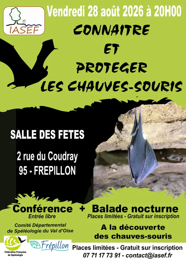 Sortie à la découverte des chauves-souris
