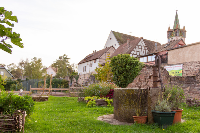 Découverte libre d'un jardin médiéval