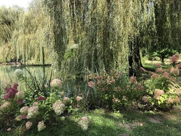 Fête des jardins