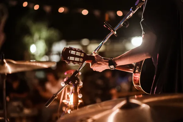 Concert : The Mojo Guardians