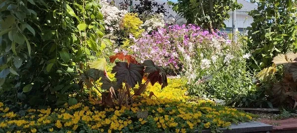 Jardin de Demain