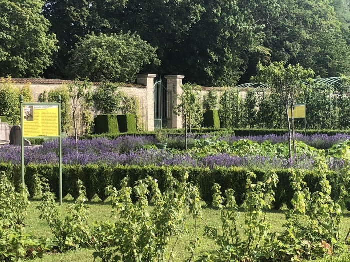 Visite des vergers-potagers et du parc du château de Montigny-sur-Aube