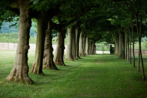 Balade thermique du parc de la Léonardsau
